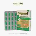 کپسول کلگارد هولیستیکا آرین سلامت سینا 32 عددی