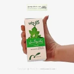 شربت پکتوگل گل دارو 120 میلی لیتر