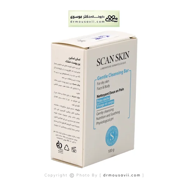 پن پوست خشک اسکن اسکین 100 گرم