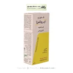 شامپو ضدشوره اکتوپیروکس 200میلی لیتر